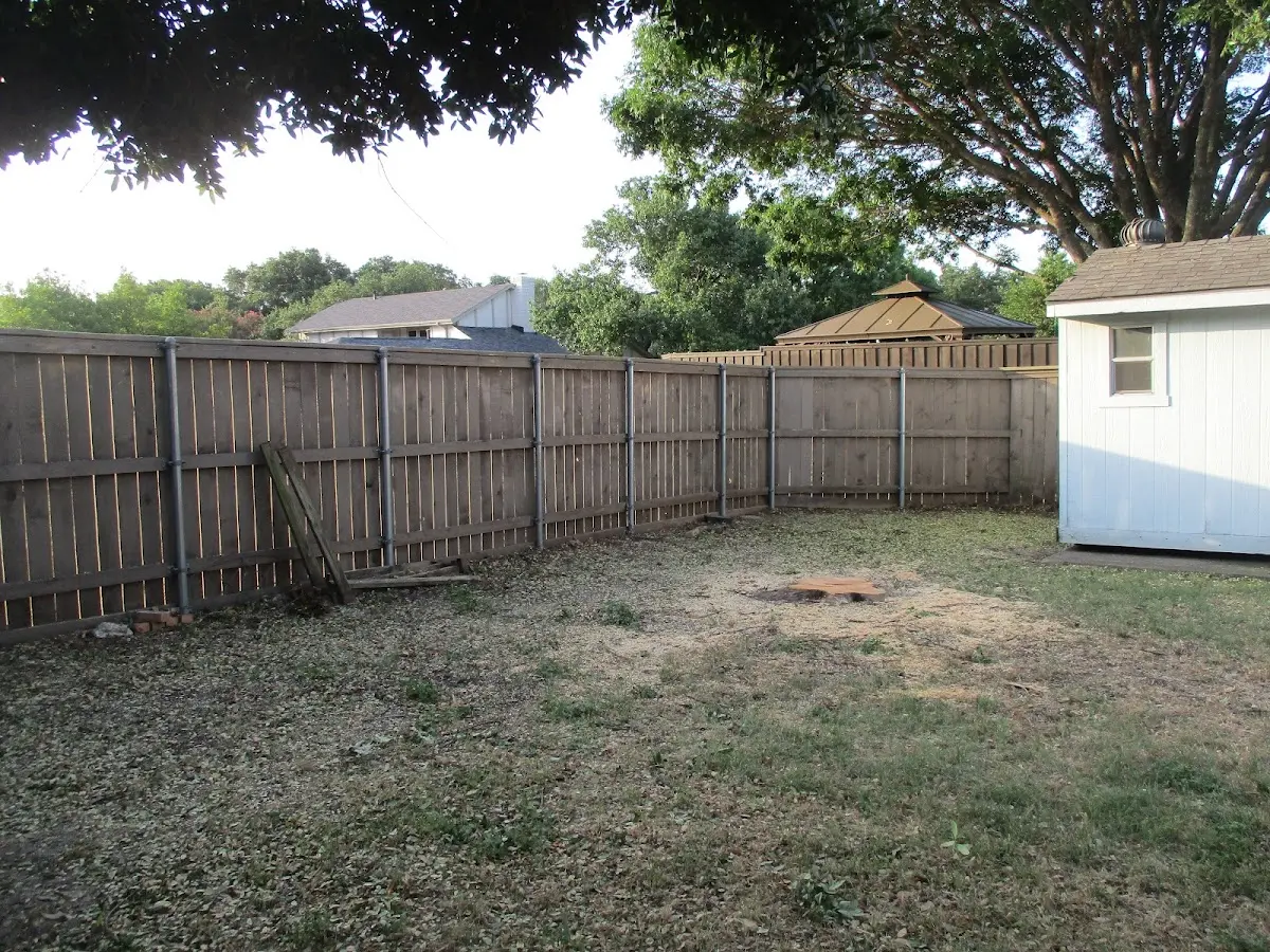 Cleared yard after professional tree removal in Stockholm